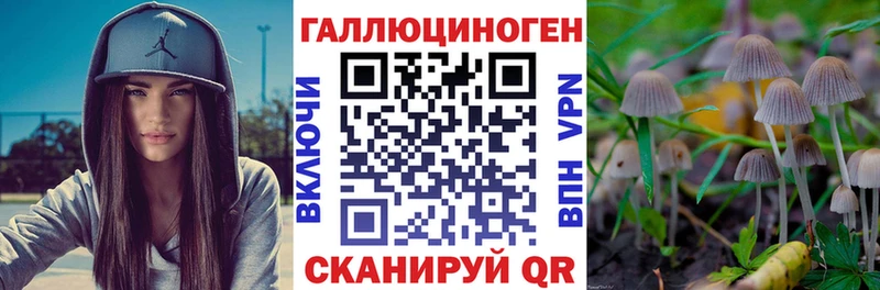 магазин    Кизилюрт  Галлюциногенные грибы ЛСД 