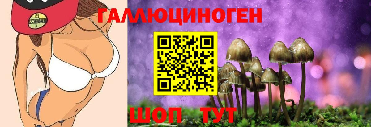 Псилоцибиновые грибы мицелий Кизилюрт