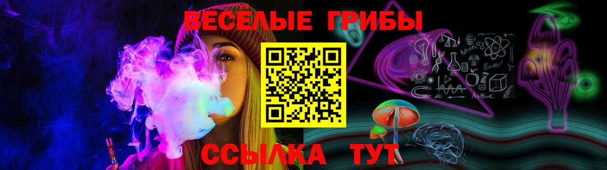 Псилоцибиновые грибы прущие грибы  Кизилюрт  Галлюциногенные грибы GOLDEN TEACHER 